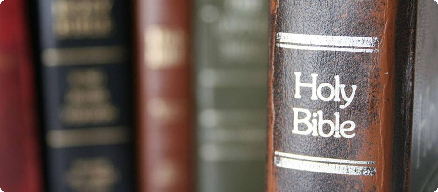 Row of book spines with a leather-bound Holy Bible in focus